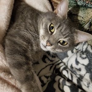 Meet your Posher, Pearl